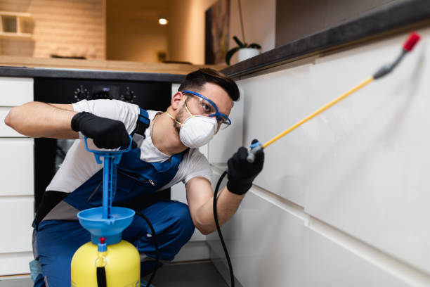 Best Best Pest Control Companies  in Keene, NH