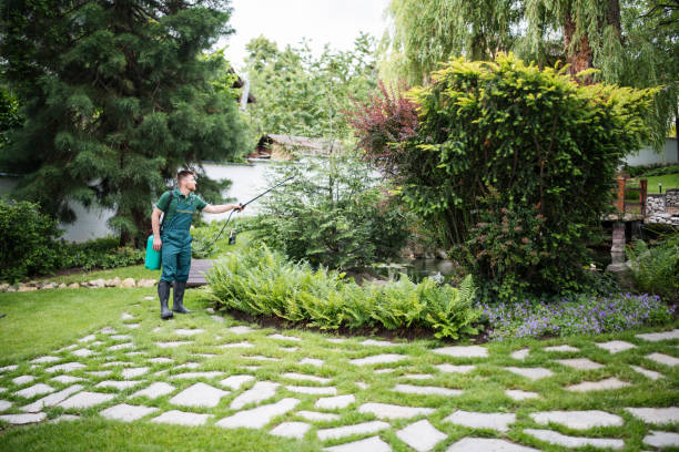 Pest Control Cost in Keene, NH