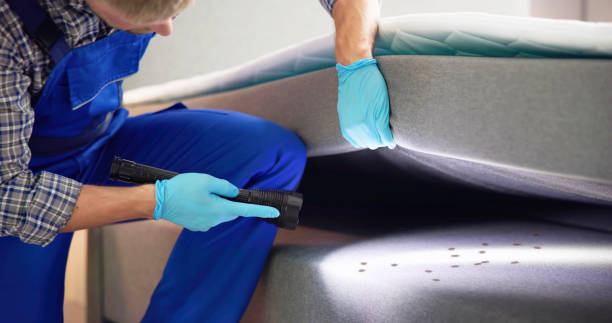 Best Cockroach Control Services  in Keene, NH